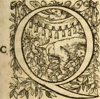 An illustration from Io. Bodini Andegavensis De republica libri sex (1586)