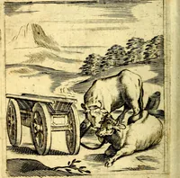 Picture 48 of 138 from Io: Francisci Bonomij Bononiensis Chiron Achillis, siue, Nauarchus humanæ uitæ : morali emblemate geminato ad felicitatis portum perducens (1661), leaf 153