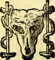 Picture 53 of 138 from Io: Francisci Bonomij Bononiensis Chiron Achillis, siue, Nauarchus humanæ uitæ : morali emblemate geminato ad felicitatis portum perducens (1661), leaf 169