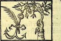 An illustration from Io: Francisci Bonomij Bononiensis Chiron Achillis, siue, Nauarchus humanæ uitæ : morali emblemate geminato ad felicitatis portum perducens (1661)