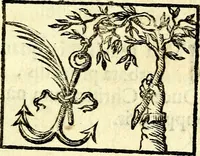 Picture 3 of 138 from Io: Francisci Bonomij Bononiensis Chiron Achillis, siue, Nauarchus humanæ uitæ : morali emblemate geminato ad felicitatis portum perducens (1661), leaf 20