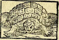 Picture 101 of 138 from Io: Francisci Bonomij Bononiensis Chiron Achillis, siue, Nauarchus humanæ uitæ : morali emblemate geminato ad felicitatis portum perducens (1661), leaf 310