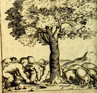 Picture 102 of 138 from Io: Francisci Bonomij Bononiensis Chiron Achillis, siue, Nauarchus humanæ uitæ : morali emblemate geminato ad felicitatis portum perducens (1661), leaf 311
