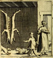 An illustration from Io: Francisci Bonomij Bononiensis Chiron Achillis, siue, Nauarchus humanæ uitæ : morali emblemate geminato ad felicitatis portum perducens (1661)