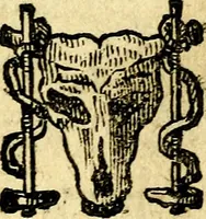 Picture 21 of 138 from Io: Francisci Bonomij Bononiensis Chiron Achillis, siue, Nauarchus humanæ uitæ : morali emblemate geminato ad felicitatis portum perducens (1661), leaf 78