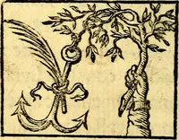 Picture 28 of 138 from Io: Francisci Bonomij Bononiensis Chiron Achillis, siue, Nauarchus humanæ uitæ : morali emblemate geminato ad felicitatis portum perducens (1661), leaf 91