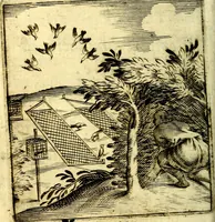 Picture 31 of 138 from Io: Francisci Bonomij Bononiensis Chiron Achillis, siue, Nauarchus humanæ uitæ : morali emblemate geminato ad felicitatis portum perducens (1661), leaf 99