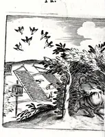 An illustration from Io. Francisci Bonomij Bononiensis Chiron Achillis, siue, Nauarchus humanae vitae : morali emblemate geminato ad felicitatis portum perducens (1661)