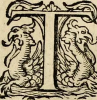 An illustration from Iohannis de Brunes I.C. Emblemata, of, Zinne-werck : voorghestelt in beelden, ghedichten en breeder uijt-legginghen, tot uijt-druckinghe en verbeteringhe van verscheijden feijlen onser eeuwe (1624)