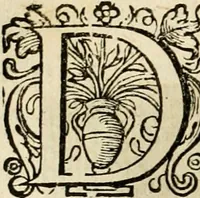 An illustration from Iohannis de Brunes I.C. Emblemata, of, Zinne-werck : voorghestelt in beelden, ghedichten en breeder uijt-legginghen, tot uijt-druckinghe en verbeteringhe van verscheijden feijlen onser eeuwe (1624)