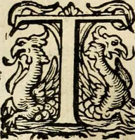 An illustration from Iohannis de Brunes I.C. Emblemata, of, Zinne-werck : voorghestelt in beelden, ghedichten en breeder uijt-legginghen, tot uijt-druckinghe en verbeteringhe van verscheijden feijlen onser eeuwe (1624)