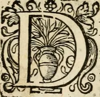 An illustration from Iohannis de Brunes I.C. Emblemata, of, Zinne-werck : voorghestelt in beelden, ghedichten en breeder uijt-legginghen, tot uijt-druckinghe en verbeteringhe van verscheijden feijlen onser eeuwe (1624)