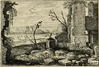 Picture 39 of 93 from Iohannis de Brunes I.C. Emblemata, of, Zinne-werck : voorghestelt in beelden, ghedichten en breeder uijt-legginghen, tot uijt-druckinghe en verbeteringhe van verscheijden feijlen onser eeuwe (1624), leaf 156
