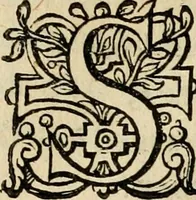 An illustration from Iohannis de Brunes I.C. Emblemata, of, Zinne-werck : voorghestelt in beelden, ghedichten en breeder uijt-legginghen, tot uijt-druckinghe en verbeteringhe van verscheijden feijlen onser eeuwe (1624)