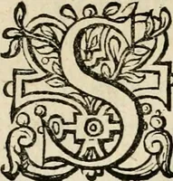 An illustration from Iohannis de Brunes I.C. Emblemata, of, Zinne-werck : voorghestelt in beelden, ghedichten en breeder uijt-legginghen, tot uijt-druckinghe en verbeteringhe van verscheijden feijlen onser eeuwe (1624)