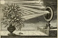 Picture 50 of 93 from Iohannis de Brunes I.C. Emblemata, of, Zinne-werck : voorghestelt in beelden, ghedichten en breeder uijt-legginghen, tot uijt-druckinghe en verbeteringhe van verscheijden feijlen onser eeuwe (1624), leaf 190