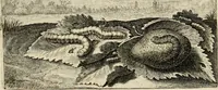 Picture 53 of 93 from Iohannis de Brunes I.C. Emblemata, of, Zinne-werck : voorghestelt in beelden, ghedichten en breeder uijt-legginghen, tot uijt-druckinghe en verbeteringhe van verscheijden feijlen onser eeuwe (1624), leaf 202