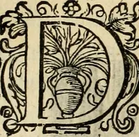 Picture 62 of 93 from Iohannis de Brunes I.C. Emblemata, of, Zinne-werck : voorghestelt in beelden, ghedichten en breeder uijt-legginghen, tot uijt-druckinghe en verbeteringhe van verscheijden feijlen onser eeuwe (1624), leaf 249