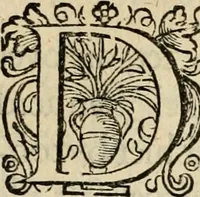 Picture 68 of 93 from Iohannis de Brunes I.C. Emblemata, of, Zinne-werck : voorghestelt in beelden, ghedichten en breeder uijt-legginghen, tot uijt-druckinghe en verbeteringhe van verscheijden feijlen onser eeuwe (1624), leaf 272