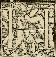 An illustration from Iohannis de Brunes I.C. Emblemata, of, Zinne-werck : voorghestelt in beelden, ghedichten en breeder uijt-legginghen, tot uijt-druckinghe en verbeteringhe van verscheijden feijlen onser eeuwe (1624)