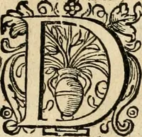 An illustration from Iohannis de Brunes I.C. Emblemata, of, Zinne-werck : voorghestelt in beelden, ghedichten en breeder uijt-legginghen, tot uijt-druckinghe en verbeteringhe van verscheijden feijlen onser eeuwe (1624)