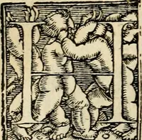 An illustration from Iohannis de Brunes I.C. Emblemata, of, Zinne-werck : voorghestelt in beelden, ghedichten en breeder uijt-legginghen, tot uijt-druckinghe en verbeteringhe van verscheijden feijlen onser eeuwe (1624)