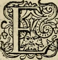 An illustration from Iohannis de Brunes I.C. Emblemata, of, Zinne-werck : voorghestelt in beelden, ghedichten en breeder uijt-legginghen, tot uijt-druckinghe en verbeteringhe van verscheijden feijlen onser eeuwe (1624)