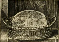 Picture 17 of 93 from Iohannis de Brunes I.C. Emblemata, of, Zinne-werck : voorghestelt in beelden, ghedichten en breeder uijt-legginghen, tot uijt-druckinghe en verbeteringhe van verscheijden feijlen onser eeuwe (1624), leaf 68