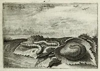 Picture 8 of 11 from Iohannis de Brunes I.C. Emblemata of zinne-werck : voorghestelt in beelden, ghedichten, en breeder uijt-legginghen, tot uijt-druckinghe en verbeteringhe van verscheijden feijlen onser eeuwe (1661), leaf 201