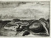 An illustration from Iohannis de Brunes I.C. Emblemata of zinne-werck : voorghestelt in beelden, ghedichten en breeder uijt-legginghen, tot uijt-druckinghe en verbeteringhe van verscheijden feijlen onser eeuwe (1661)