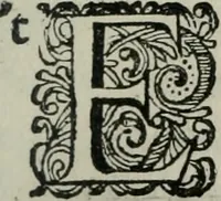 An illustration from Iohannis de Brunes I.C. Emblemata of Zinne-werck : vorghestelt, in beelden, ghedichten, en breeder uijt-legginghen, tot uijt-druckinghe, en verbeteringhe van verscheijden feijlen onser eeuwe (1661)