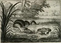 An illustration from Iohannis de Brunes I.C. Emblemata of Zinne-werck : vorghestelt, in beelden, ghedichten, en breeder uijt-legginghen, tot uijt-druckinghe, en verbeteringhe van verscheijden feijlen onser eeuwe (1661)