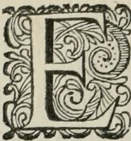 An illustration from Iohannis de Brunes I.C. Emblemata of Zinne-werck : vorghestelt, in beelden, ghedichten, en breeder uijt-legginghen, tot uijt-druckinghe, en verbeteringhe van verscheijden feijlen onser eeuwe (1661)