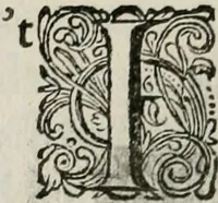 An illustration from Iohannis de Brunes I.C. Emblemata of Zinne-werck : vorghestelt, in beelden, ghedichten, en breeder uijt-legginghen, tot uijt-druckinghe, en verbeteringhe van verscheijden feijlen onser eeuwe (1661)