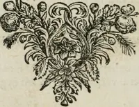 An illustration from Iohannis de Brunes I.C. Emblemata of Zinne-werck : vorghestelt, in beelden, ghedichten, en breeder uijt-legginghen, tot uijt-druckinghe, en verbeteringhe van verscheijden feijlen onser eeuwe (1661)