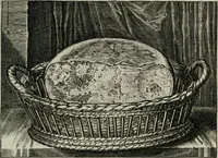 Picture 13 of 80 from Iohannis de Brunes I.C. Emblemata of Zinne-werck : vorghestelt, in beelden, ghedichten, en breeder uijt-legginghen, tot uijt-druckinghe, en verbeteringhe van verscheijden feijlen onser eeuwe (1661), leaf 68