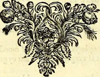 An illustration from Iohannis de Brunes I.C. Emblemata of Zinne-werck : voorghestelt, in Beelden, ghedichten, en breeder uijt-legginghen, tot uijt-druckinghe, en verbeteringhe van verscheijden feijlen onser eeuwe (1661)
