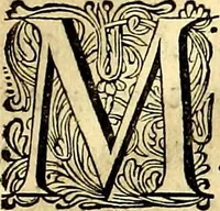 An illustration from Iohannis de Brunes I.C. Emblemata of Zinne-werck : voorghestelt, in Beelden, ghedichten, en breeder uijt-legginghen, tot uijt-druckinghe, en verbeteringhe van verscheijden feijlen onser eeuwe (1661)