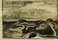 Picture 26 of 54 from Iohannis de Brunes I.C. Emblemata of Zinne-werck : voorghestelt, in Beelden, ghedichten, en breeder uijt-legginghen, tot uijt-druckinghe, en verbeteringhe van verscheijden feijlen onser eeuwe (1661), leaf 200