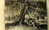 An illustration from Iohannis de Brunes I.C. Emblemata of Zinne-werck : voorghestelt, in Beelden, ghedichten, en breeder uijt-legginghen, tot uijt-druckinghe, en verbeteringhe van verscheijden feijlen onser eeuwe (1661)