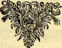 Picture 54 of 54 from Iohannis de Brunes I.C. Emblemata of Zinne-werck : voorghestelt, in Beelden, ghedichten, en breeder uijt-legginghen, tot uijt-druckinghe, en verbeteringhe van verscheijden feijlen onser eeuwe (1661), leaf 395