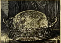 Picture 9 of 54 from Iohannis de Brunes I.C. Emblemata of Zinne-werck : voorghestelt, in Beelden, ghedichten, en breeder uijt-legginghen, tot uijt-druckinghe, en verbeteringhe van verscheijden feijlen onser eeuwe (1661), leaf 66