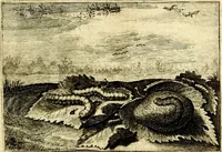 An illustration from Iohannis de Brunes I.C. Emblemata of Zinne-werck : voorghestelt, in Beelden, ghedichten, en breeder uijt-legginghen, tot uijt-druckinghe, en verbeteringhe van verscheijden feijlen onser eeuwe (1661)