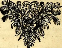 An illustration from Iohannis de Brunes I.C. Emblemata of Zinne-werck : voorghestelt, in Beelden, ghedichten, en breeder uijt-legginghen, tot uijt-druckinghe, en verbeteringhe van verscheijden feijlen onser eeuwe (1661)