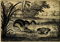 Picture 42 of 89 from Iohannis de Brunes I.C. Emblemata of Zinne-werck : voorghesteet, In Beelden, ghedichten, en breeder uijt-legginghen tot uijt-druckinghe, en verbeteringhe van verscheijden teijlen onser eeuwe. Spe et metu (1624), leaf 175