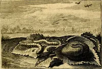 Picture 47 of 89 from Iohannis de Brunes I.C. Emblemata of Zinne-werck : voorghesteet, In Beelden, ghedichten, en breeder uijt-legginghen tot uijt-druckinghe, en verbeteringhe van verscheijden teijlen onser eeuwe. Spe et metu (1624), leaf 200