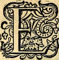 An illustration from Iohannis de Brunes I.C. Emblemata of Zinne-werck : voorghesteet, In Beelden, ghedichten, en breeder uijt-legginghen tot uijt-druckinghe, en verbeteringhe van verscheijden teijlen onser eeuwe. Spe et metu (1624)