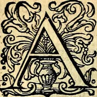 Picture 11 of 89 from Iohannis de Brunes I.C. Emblemata of Zinne-werck : voorghesteet, In Beelden, ghedichten, en breeder uijt-legginghen tot uijt-druckinghe, en verbeteringhe van verscheijden teijlen onser eeuwe. Spe et metu (1624), leaf 33