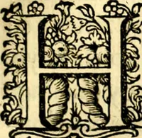 An illustration from Iohannis de Brunes I.C. Emblemata of Zinne-werck : voorghesteet, In Beelden, ghedichten, en breeder uijt-legginghen tot uijt-druckinghe, en verbeteringhe van verscheijden teijlen onser eeuwe. Spe et metu (1624)
