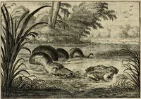 Picture 45 of 100 from Iohannis de Brunes I.C. Emblemata of zinne-werck : voorghestelt in beelden, ghedichten, en breeder uijt-legginghen, tot uijt-druckinghe en verbeteringhe van verscheijden feijlen onser eeuwe (1636), leaf 181